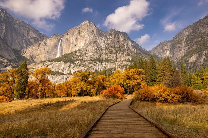 yosemite national park in the fall during peak leaf pepping