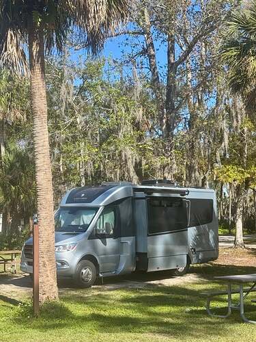 manatee hammock campsite