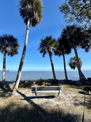 manatee hammock waterfront