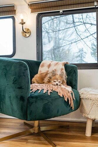 Dog on chair with a decorative blanket in a camper